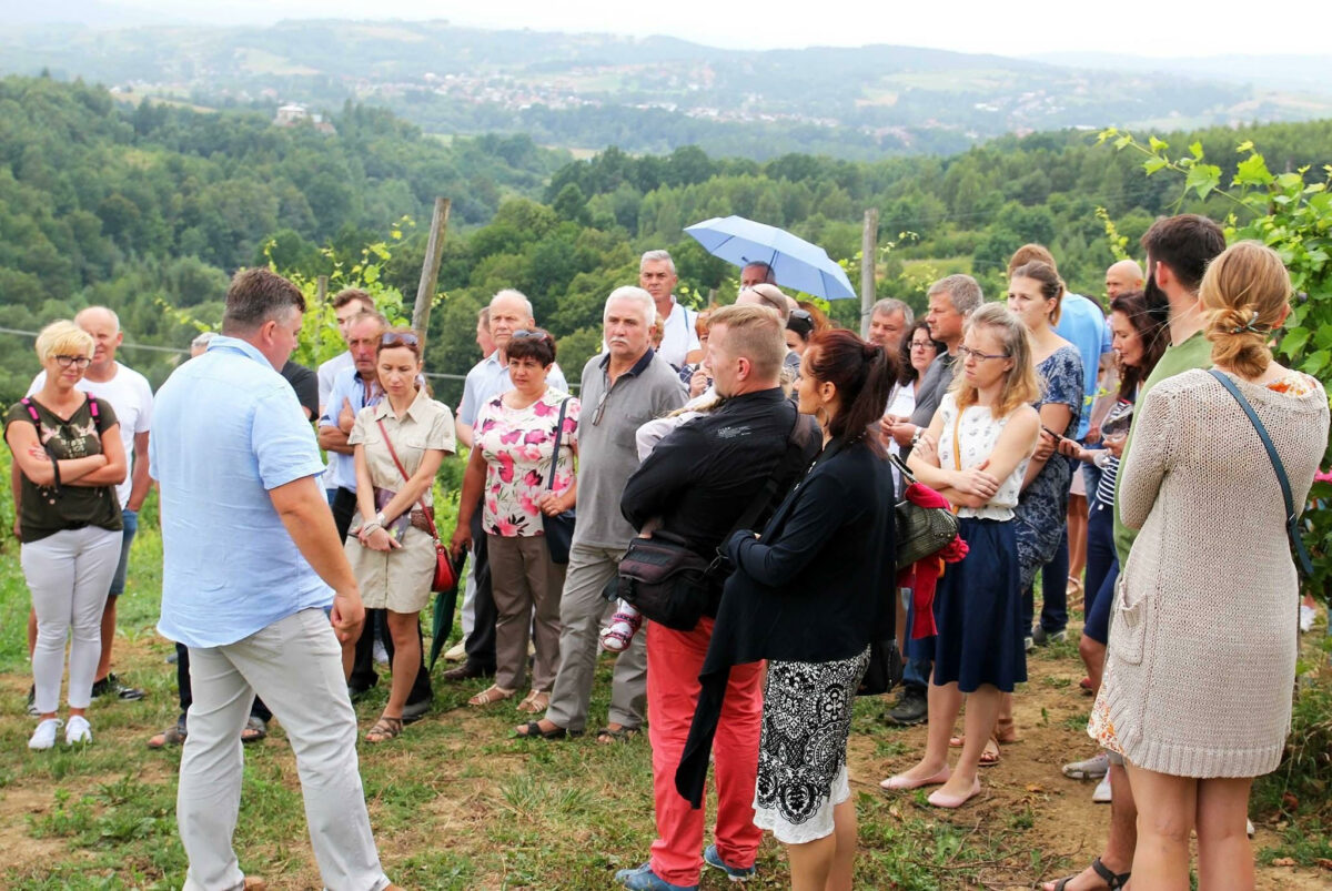 ZJAWISKO ENOTURYSTYKI W POLSCE